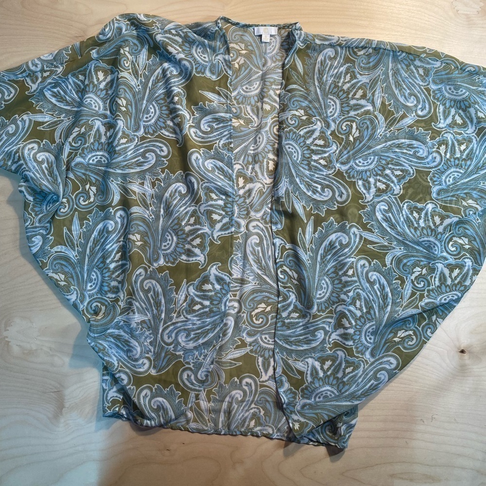 C Sheer Cardigan Wing Sleeves size Small (BR)
